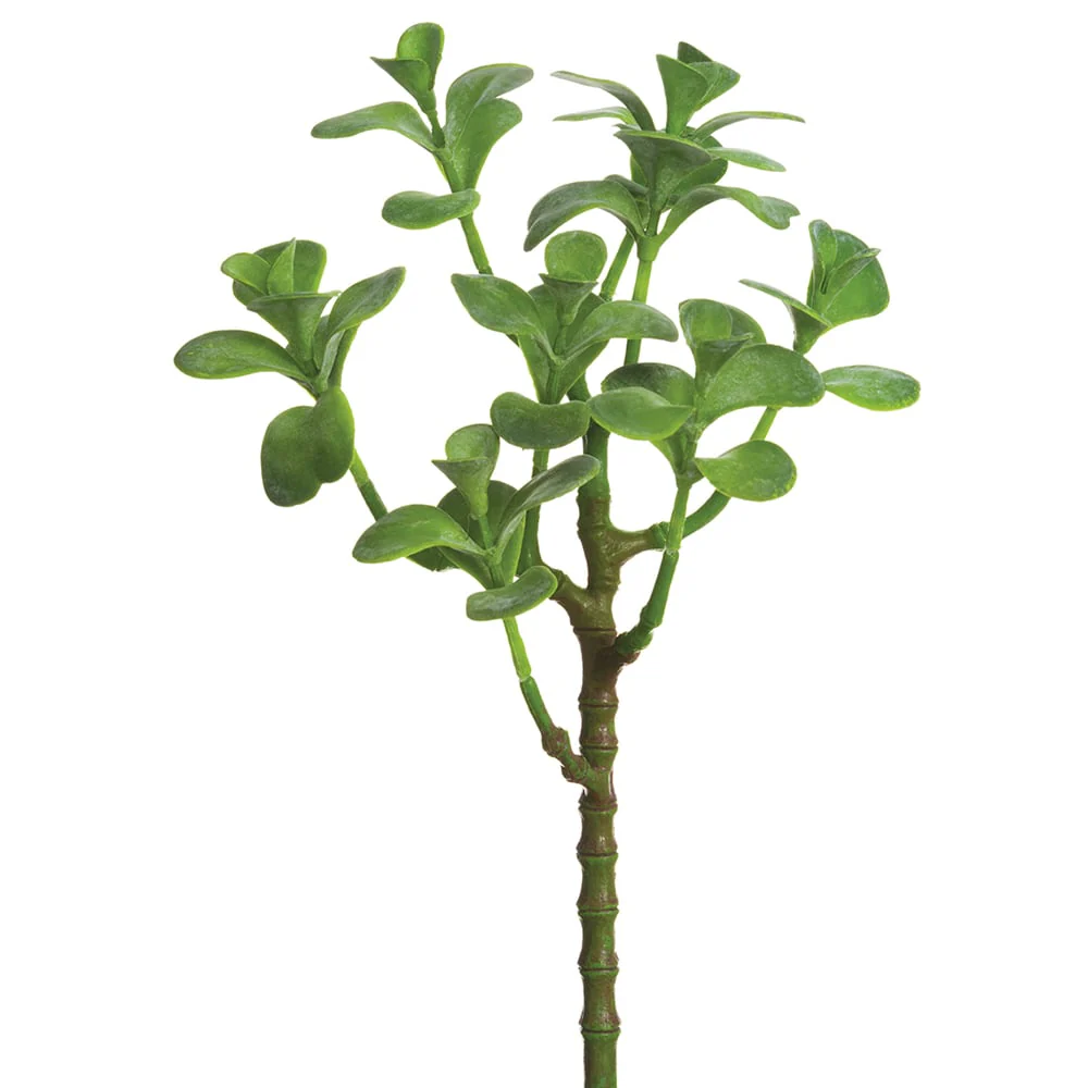 13" Real Touch Artificial Jade Plant Stem -Green (Pack of 12)