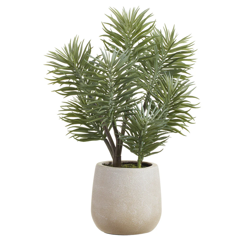 13" Senecio Succulent Artificial Plant w/Plastic Pot -Green/Gray (Pack of 6)