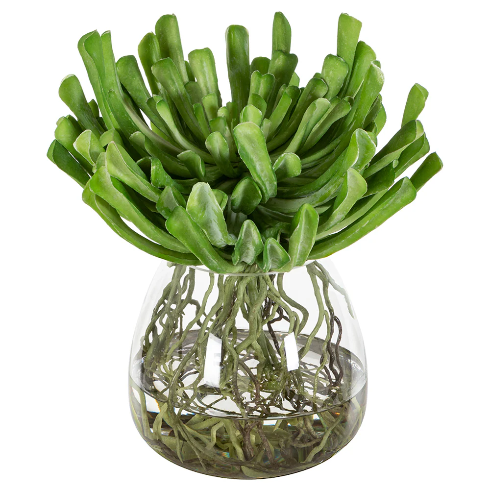 13"Hx11.5"W Echeveria Succulent & Roots Artificial Plant w/Glass Vase -Green