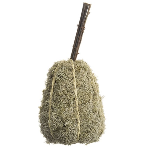 13"Hx5.5"W Preserved Spanish Moss Pumpkin -Beige/Green (Pack of 4)