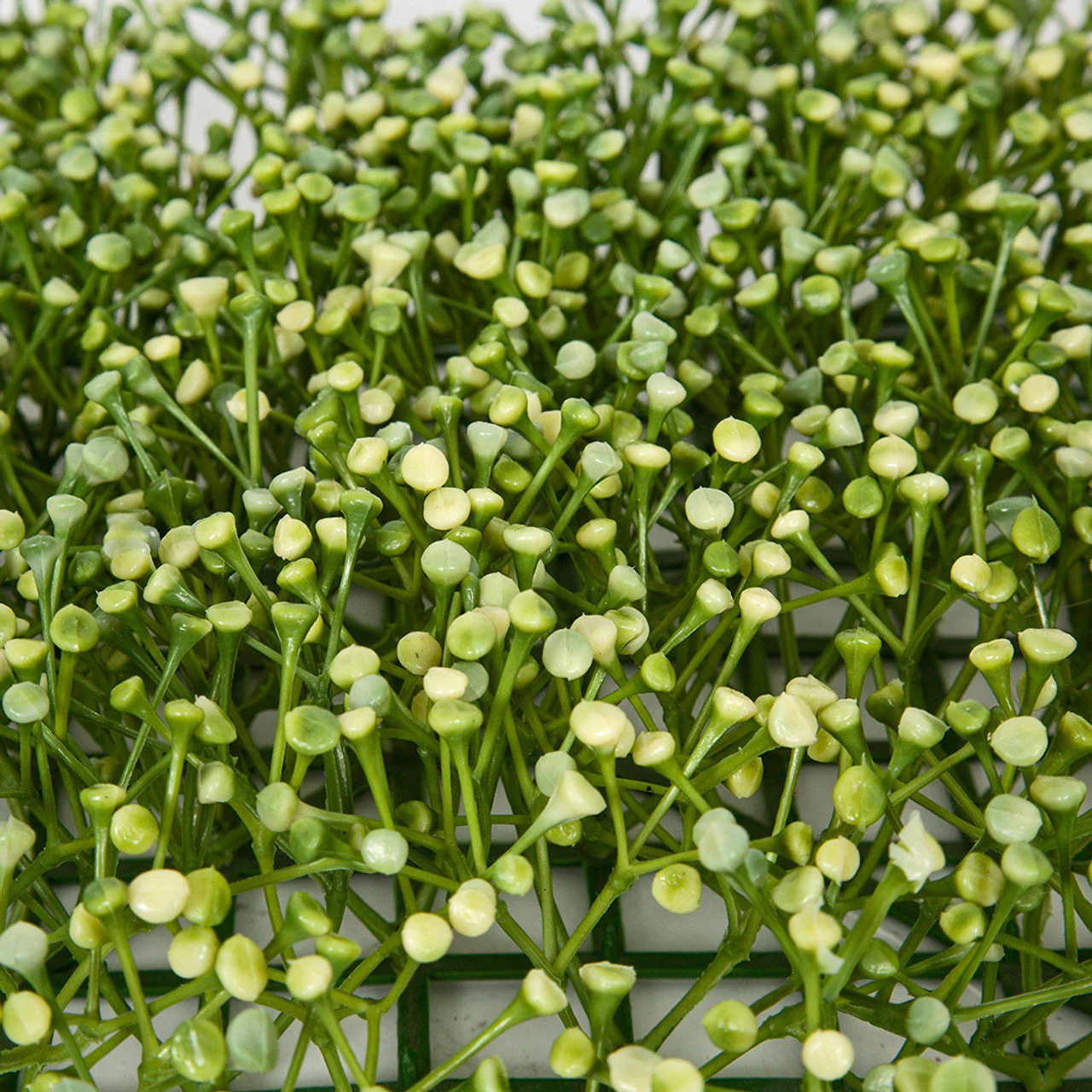 13"x13" Artificial Baby's Breath Gypsophila Flower Mat -Cream/Green (Pack of 6) - Image 3