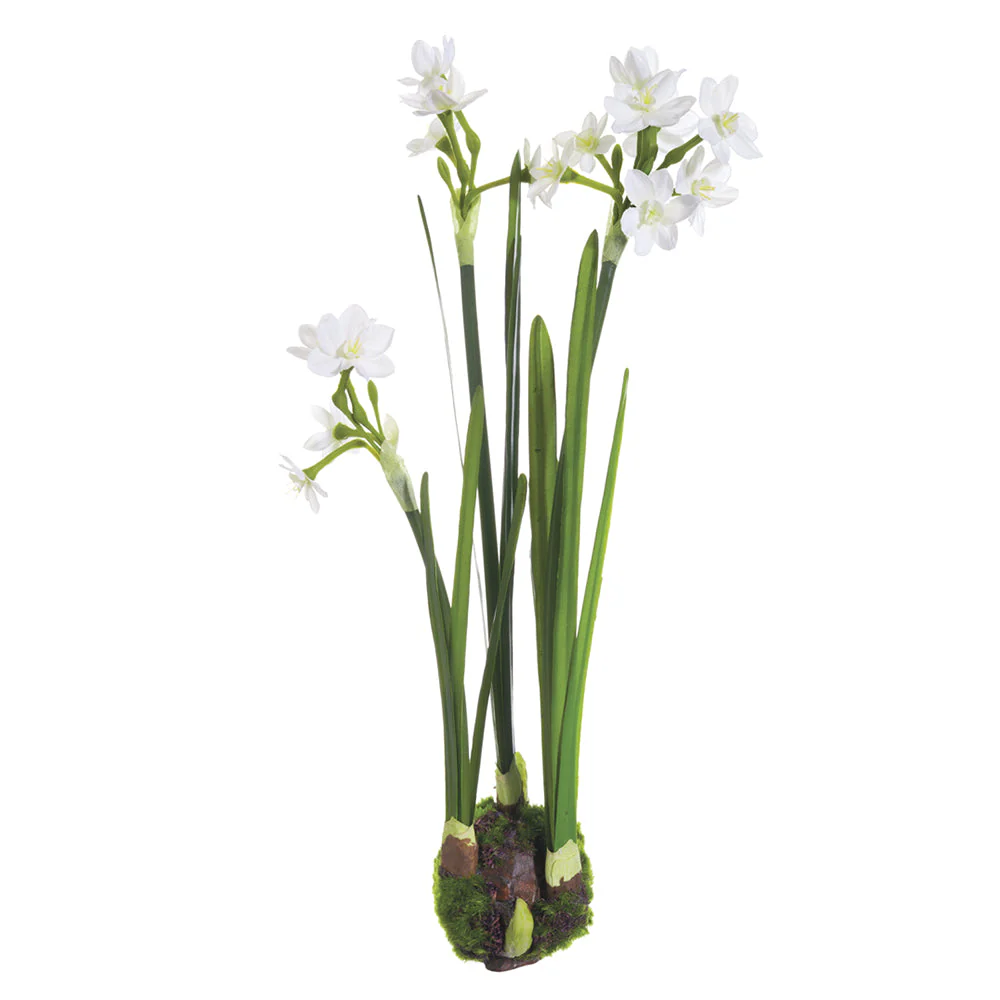 14.5" Hand-Wrapped Silk Paperwhite Flower Arrangement w/Bulb Base -White (Pack of 6)