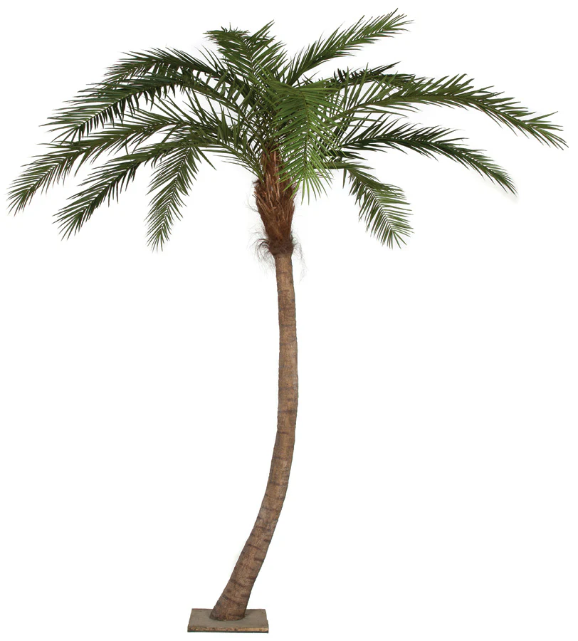 14' Curved Phoenix Silk Palm Tree w/Metal Base -Green