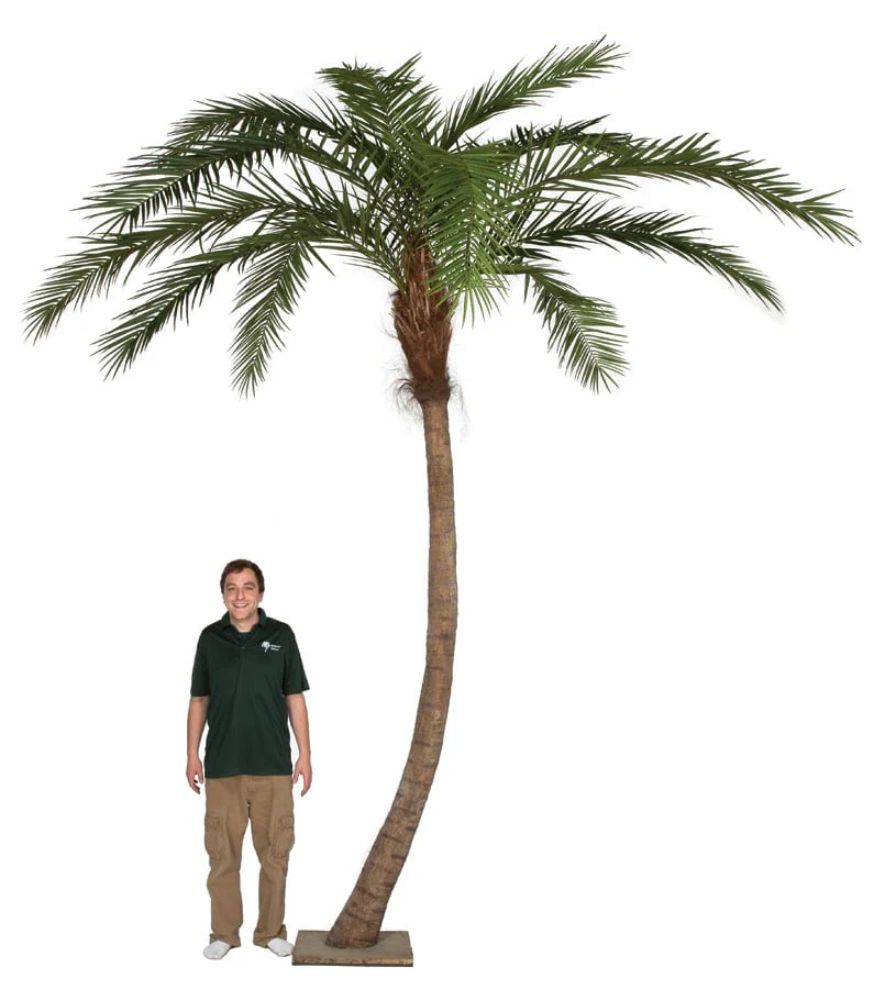 14' Curved Phoenix Silk Palm Tree w/Metal Base -Green - Image 2