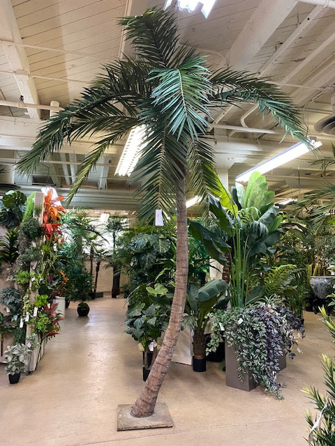 14' Curved Phoenix Silk Palm Tree w/Metal Base -Green - Image 4