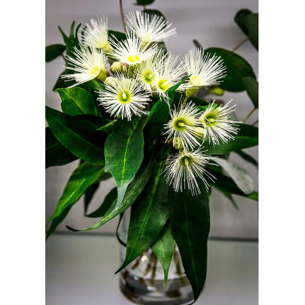 14" Flowering Silk Eucalyptus Leaf Arrangement w/Glass Vase -Green/Cream - Image 2