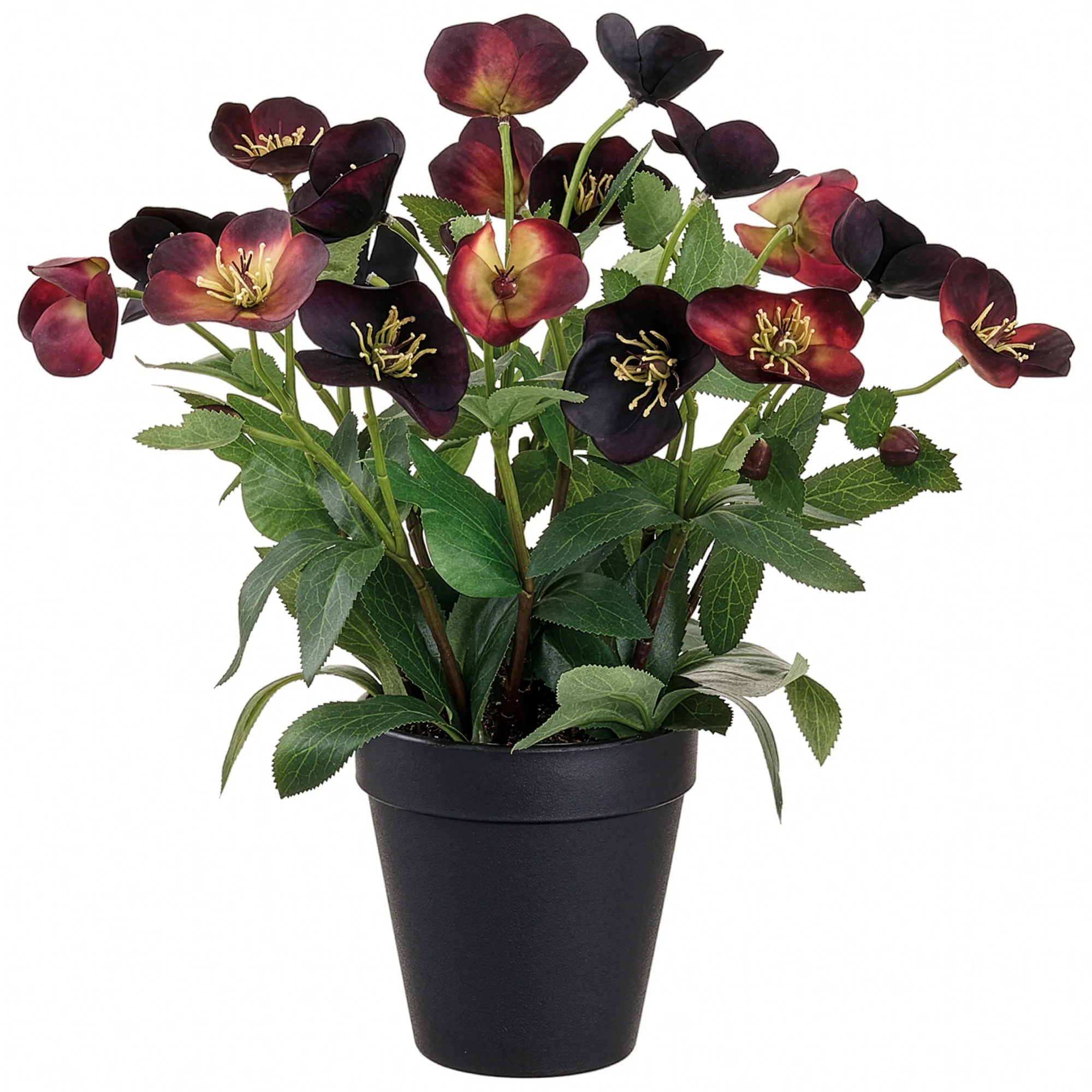 14" Helleborus Silk Flower Arrangement w/Plastic Pot -Plum