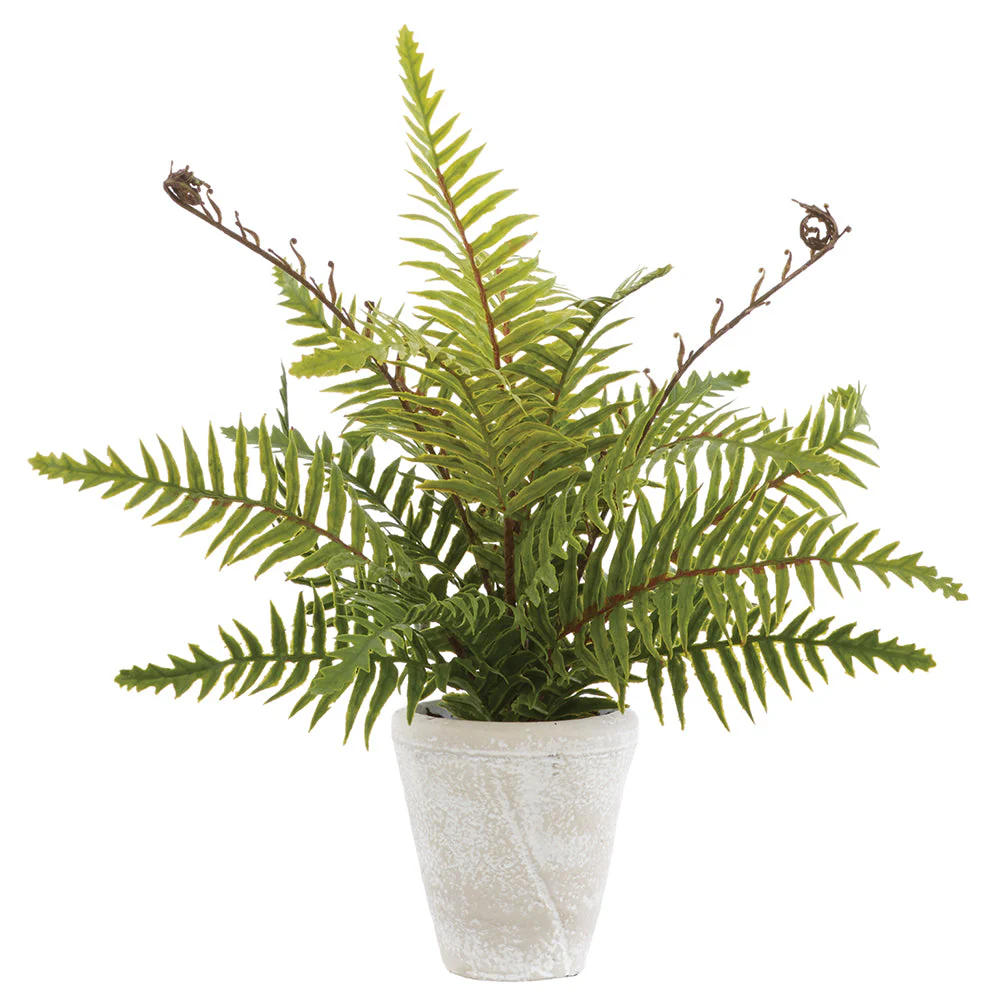 14" PE Boston Fern Artificial Plant w/Cement Pot -Green (Pack of 4)
