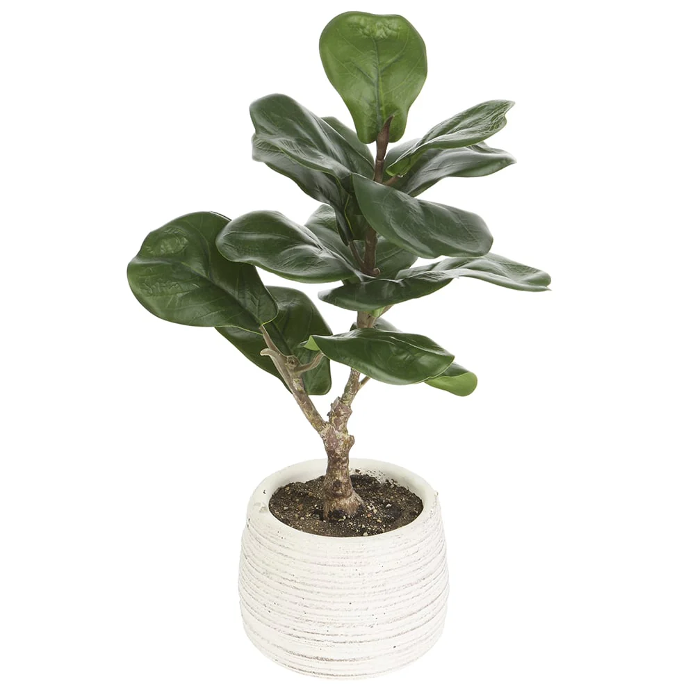 14" Silk Fiddle Leaf Fig Plant w/Cement Pot -Green