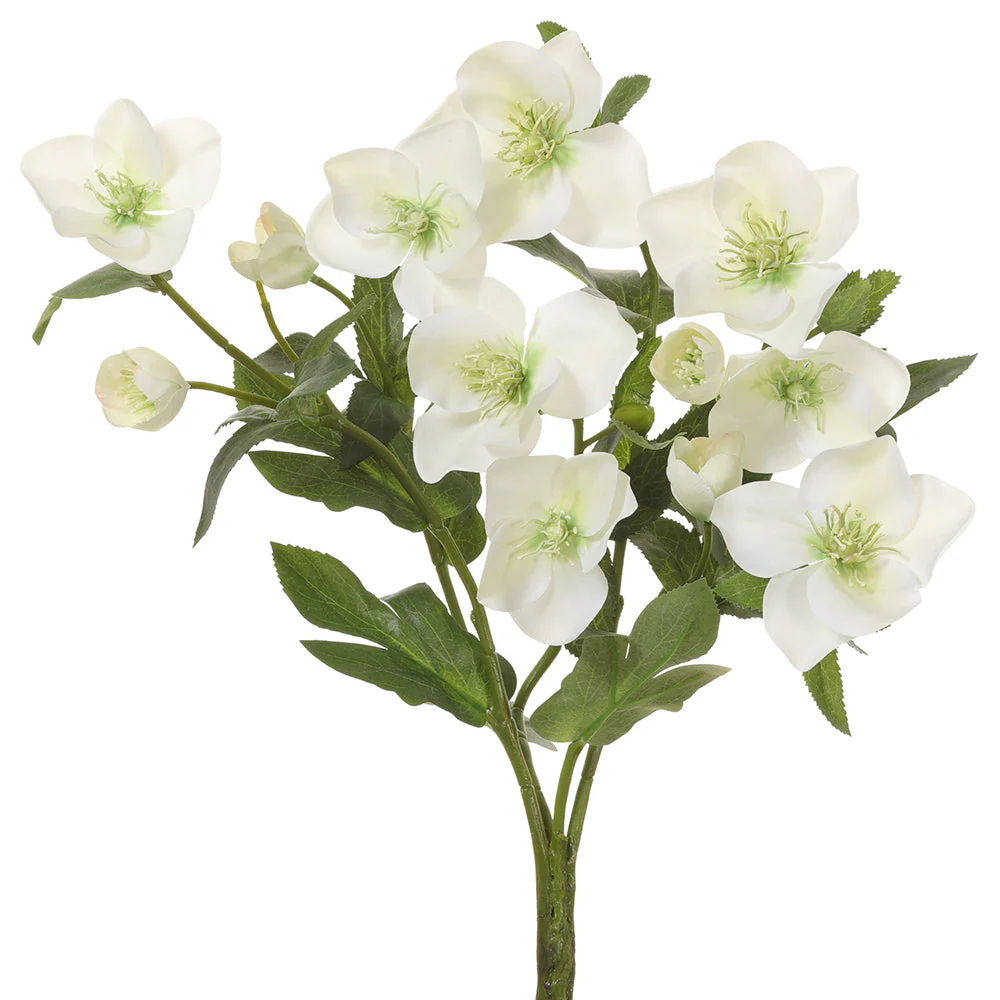14" Silk Helleborus Flower Bush -Cream/Green (Pack of 6)