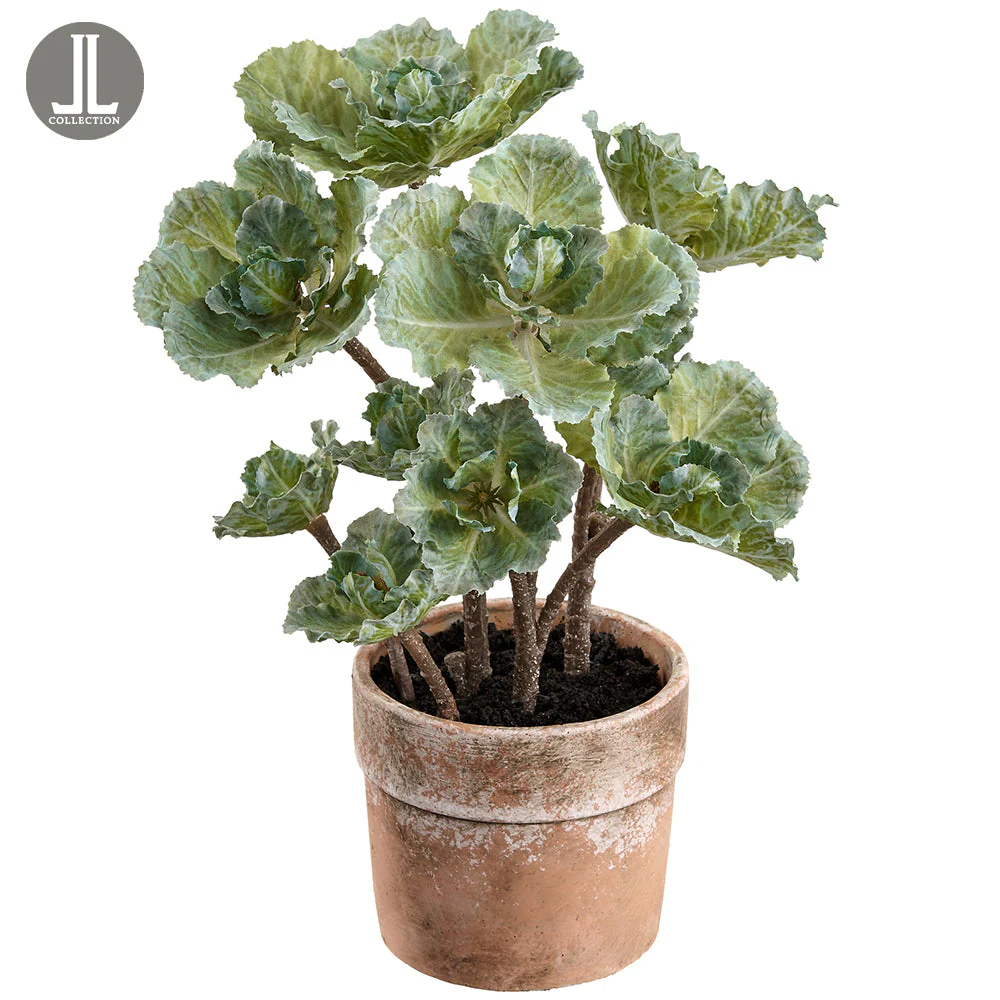 14" Silk Ornamental Cabbage Plant w/Clay Pot -Green (Pack of 4)
