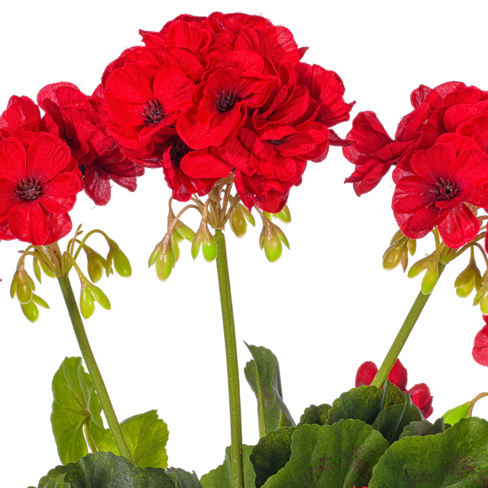 15.25" Silk Geranium Flower Bush -Red (Pack of 6) - Image 2