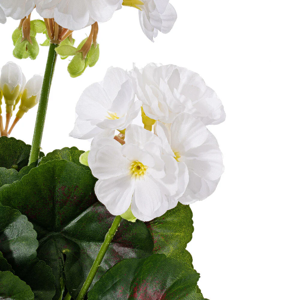 15.25" Silk Geranium Flower Bush -White (Pack of 6) - Image 3