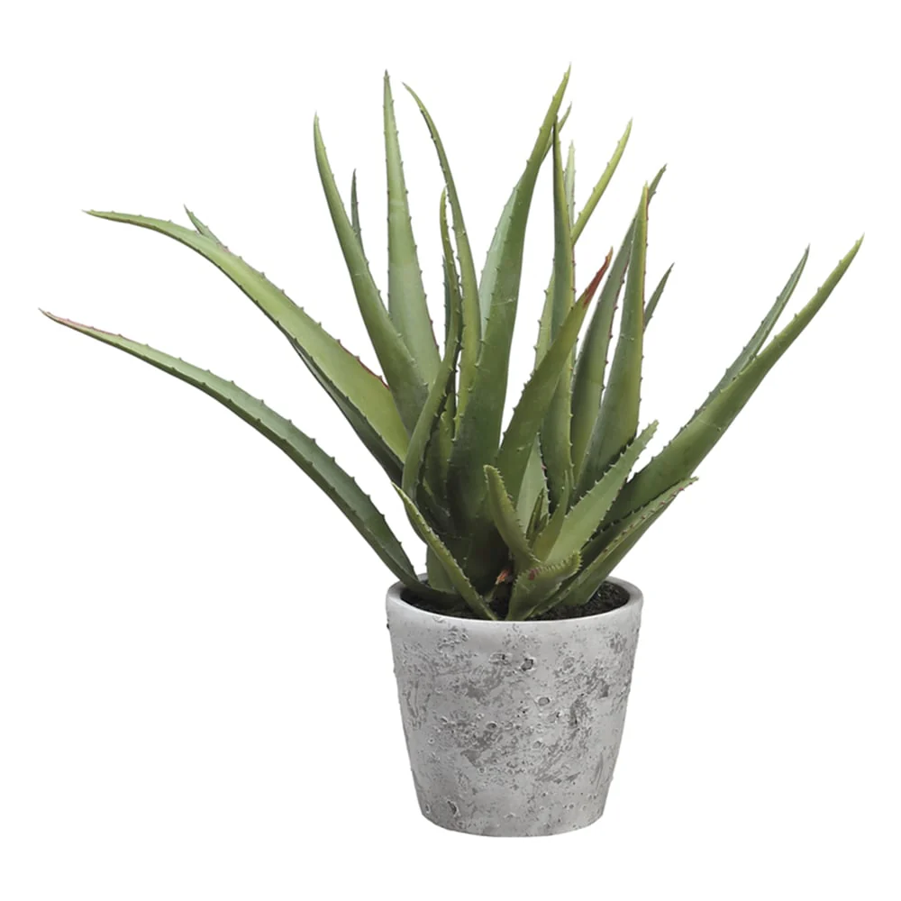 15.5" Aloe Artificial Plant w/Cement Pot -Green