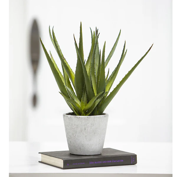 15.5" Aloe Artificial Plant w/Cement Pot -Green - Image 2