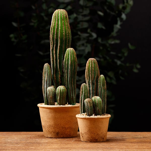 15.5" Artificial Column Cactus Plant w/Papier Mache Pot -Green (Pack of 4) - Image 2