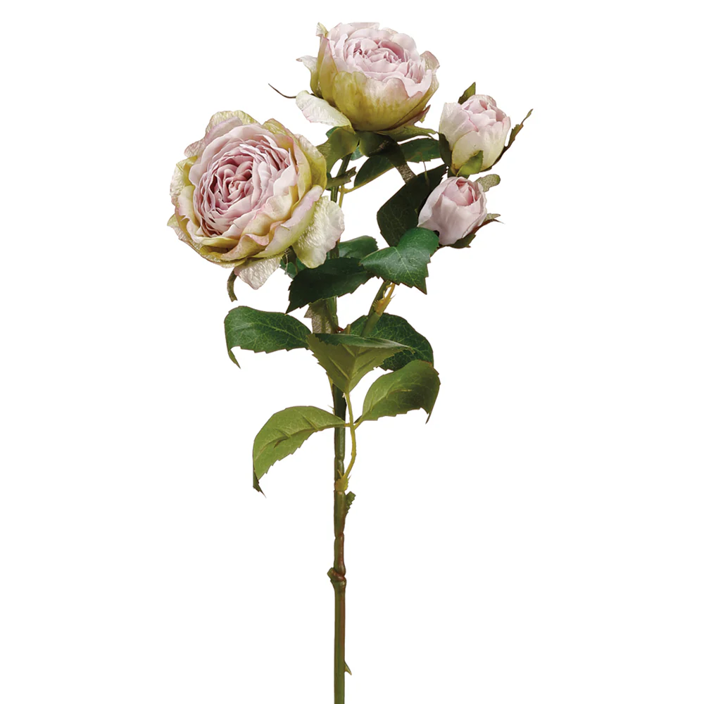 15.5" Cabbage Rose Silk Flower Stem -Lilac/Green (Pack of 12)