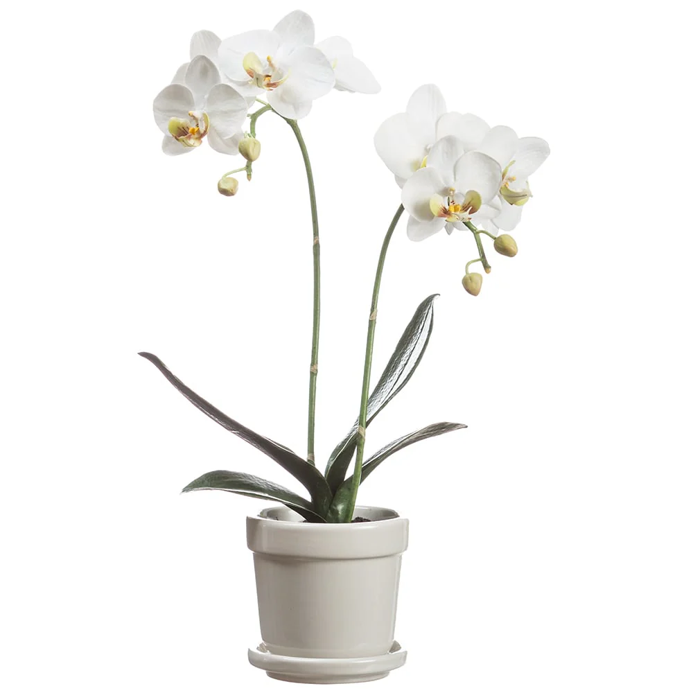 15.5" Phalaenopsis Orchid Silk Flower Arrangement w/Stoneware Pot -White (Pack of 4)