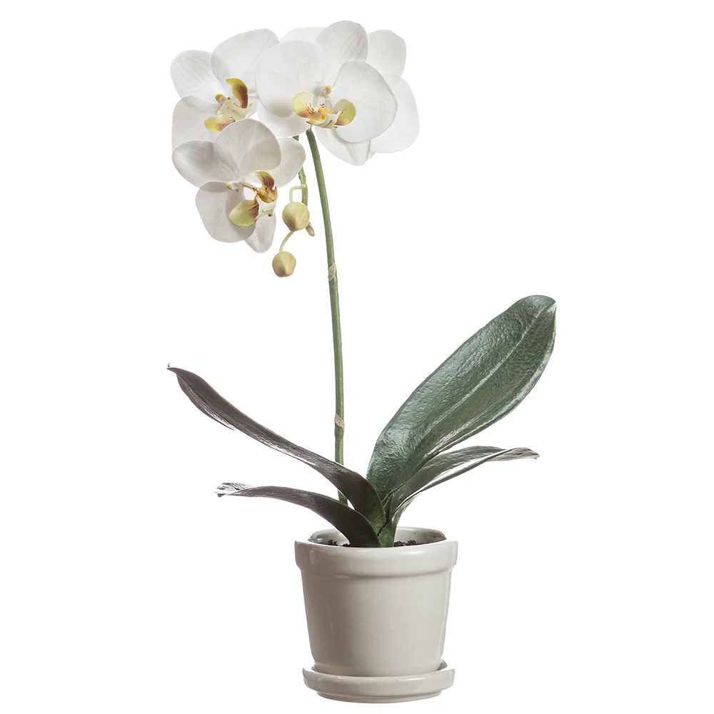 15.5" Silk Phalaenopsis Orchid Flower Arrangement w/Stoneware Pot -White (Pack of 4)