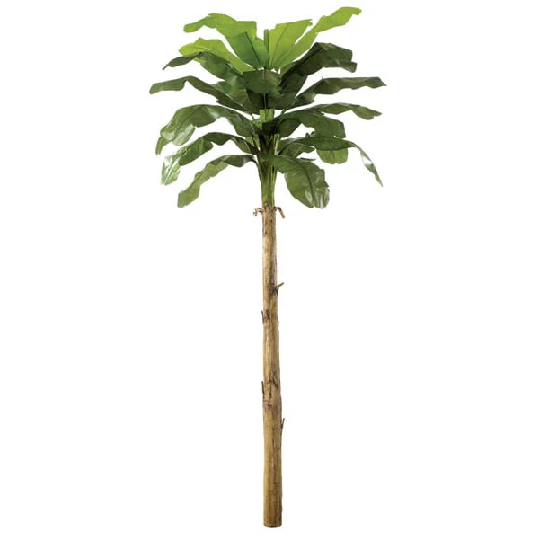 15' Banana Silk Palm Tree -Green
