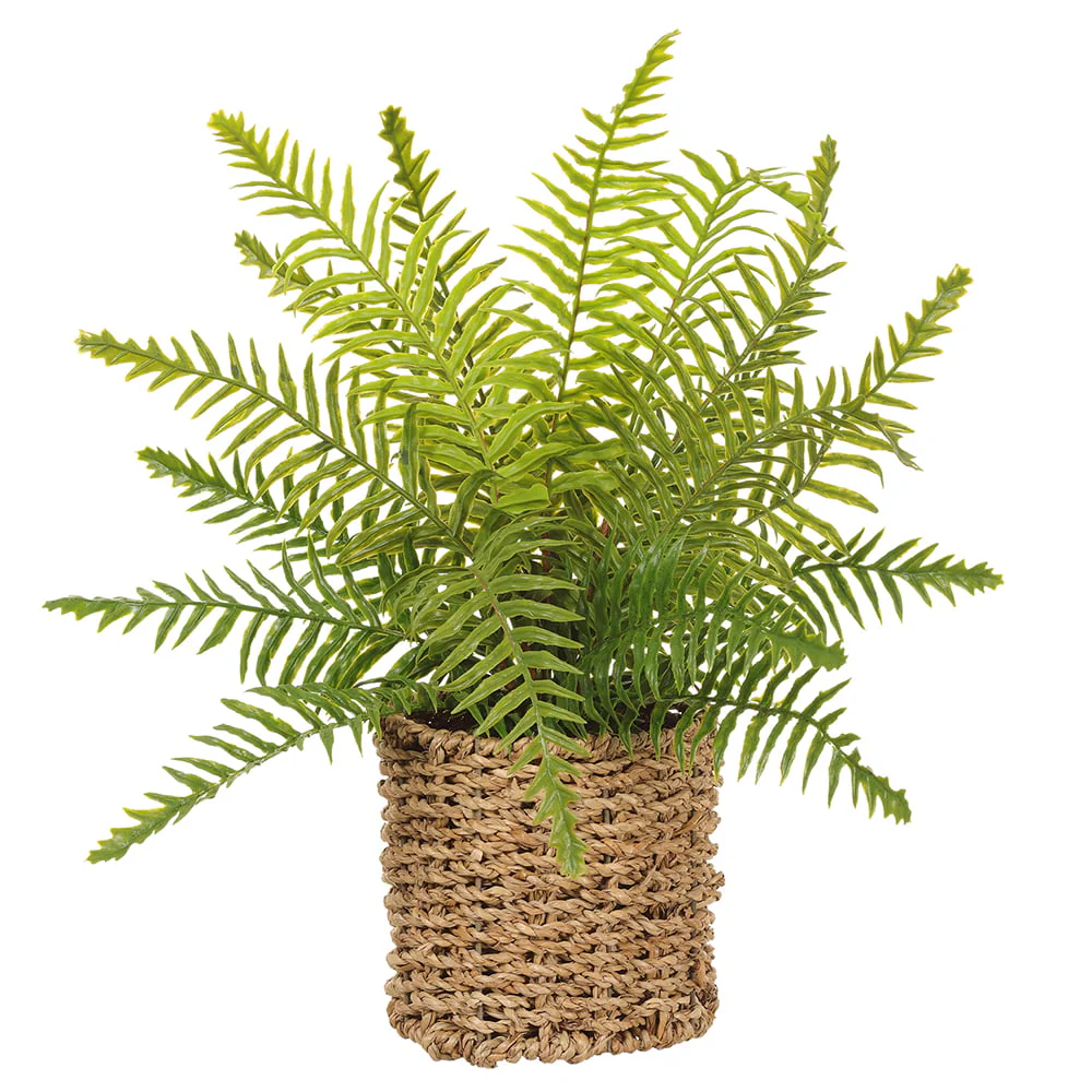 15" Boston Fern Leaf Silk Plant w/Basket -Green (Pack of 6)