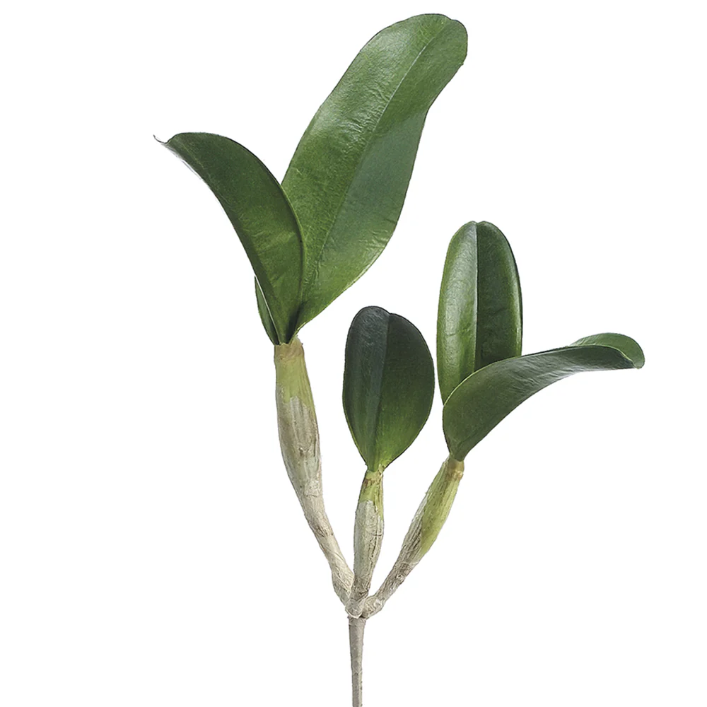 15" Hand-Wrapped Silk Cattleya Orchid Leaf Plant Stem -Green (Pack of 6)