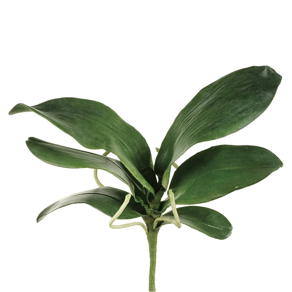 15" Hand-Wrapped Silk Large Phalaenopsis Orchid Leaf Plant Stem -Green (Pack of 6)