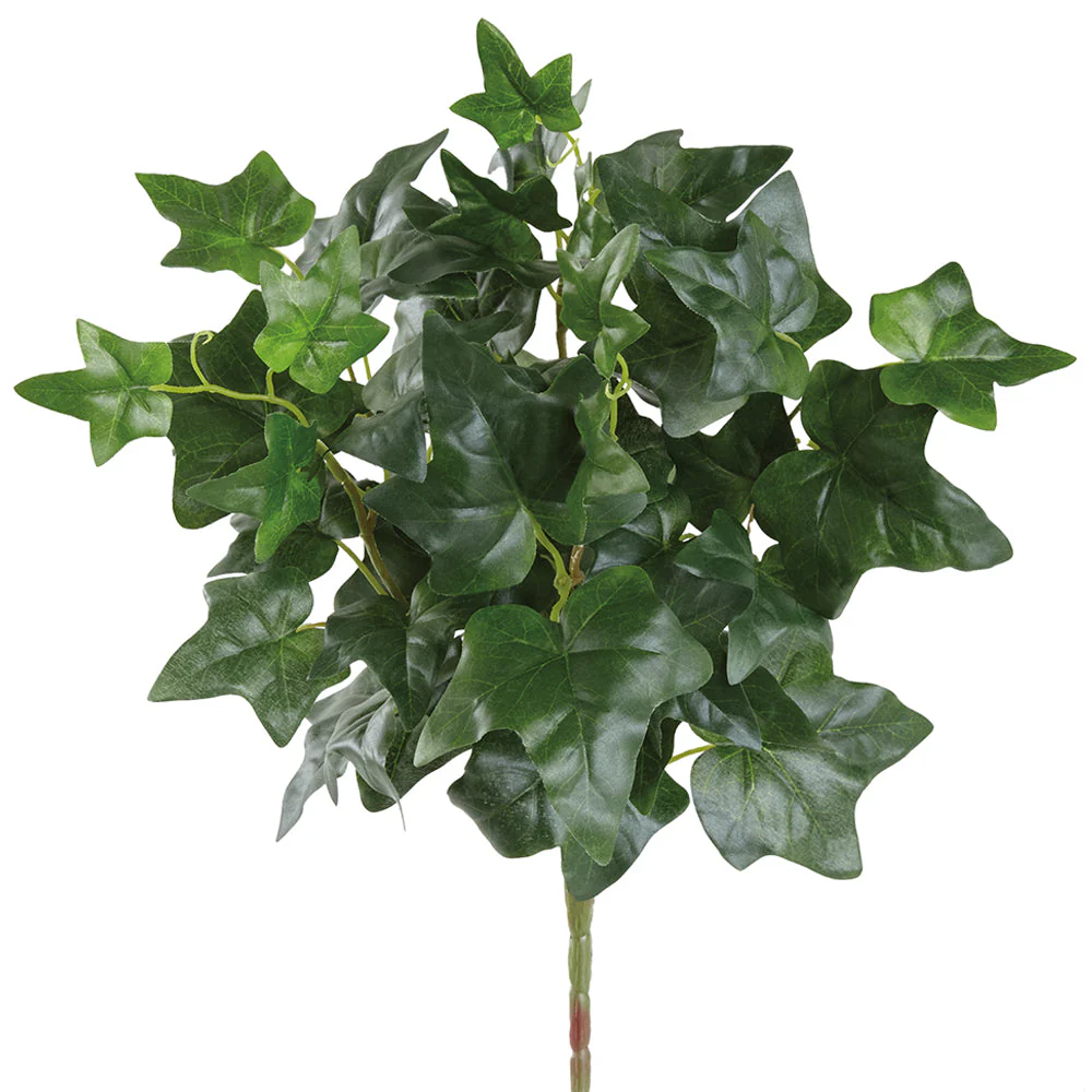15" Ivy Leaf Silk Plant -Green (Pack of 12)