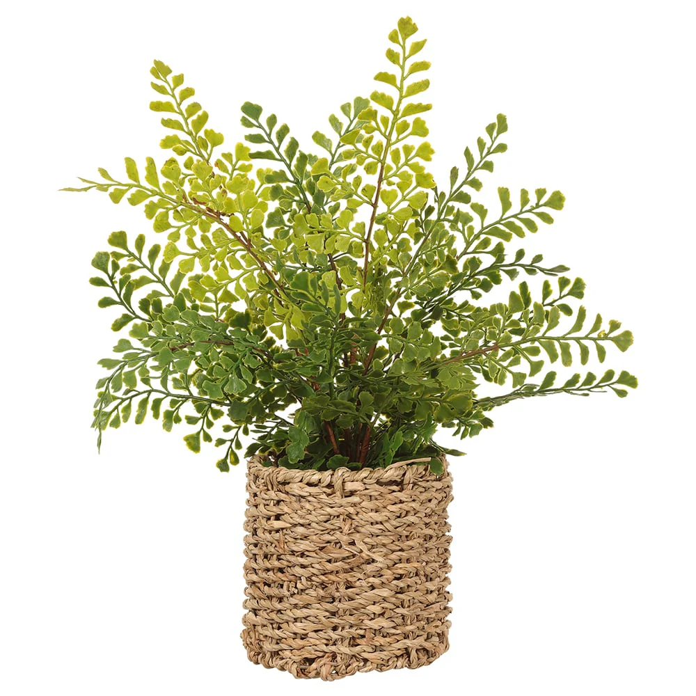 15" Maidenhair Fern Leaf Silk Plant w/Basket -Green (Pack of 6)