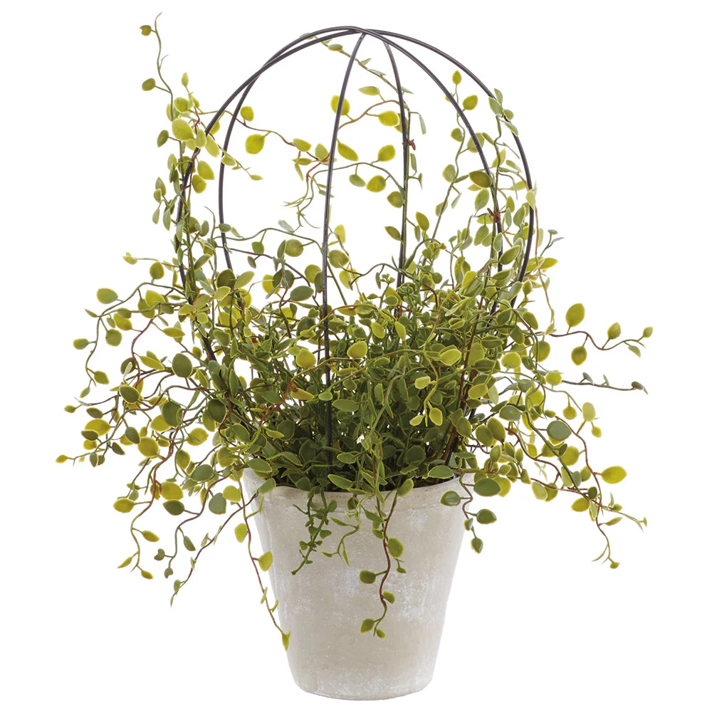 15" PE Muehlenbeckia Wire Silk Plant w/Cement Pot -Green (Pack of 2)