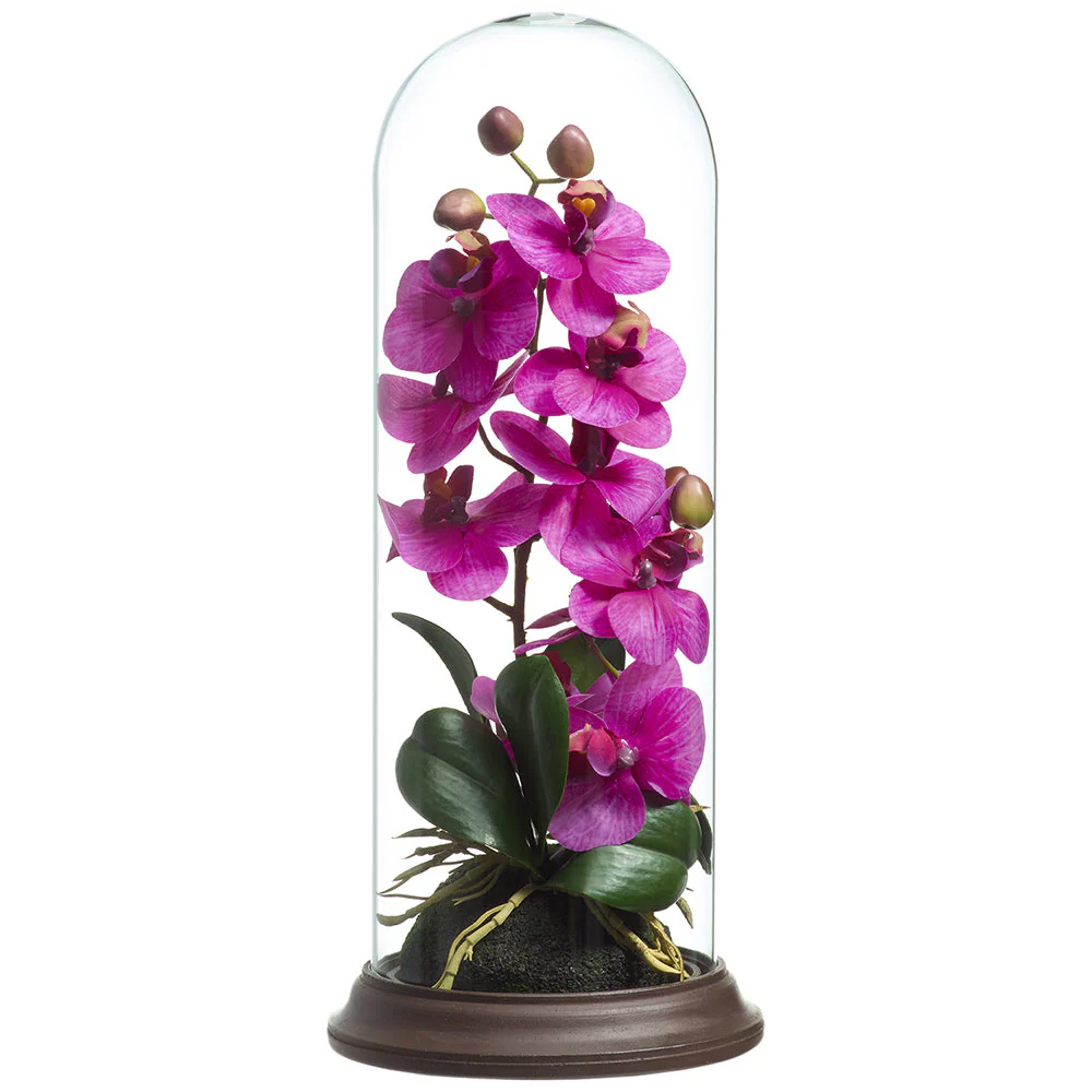 15" Phalaenopsis Orchid Silk Flower Arrangement w/Glass Dome -Orchid (Pack of 4)