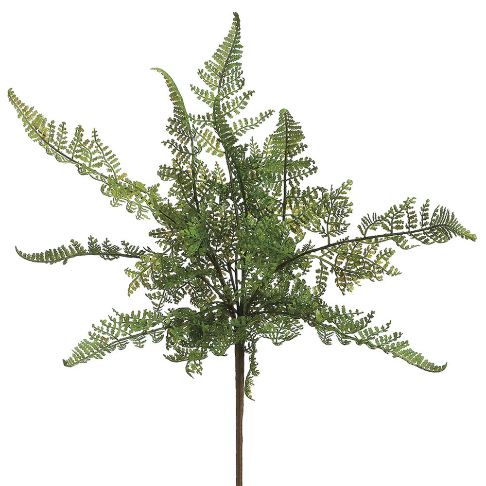 15" Plastic Lace Fern Faux Plant -Green (Pack of 24)