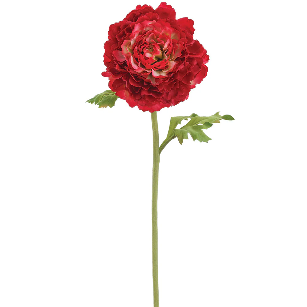 15" Real Touch Ranunculus Silk Flower Stem -Beauty (Pack of 12)