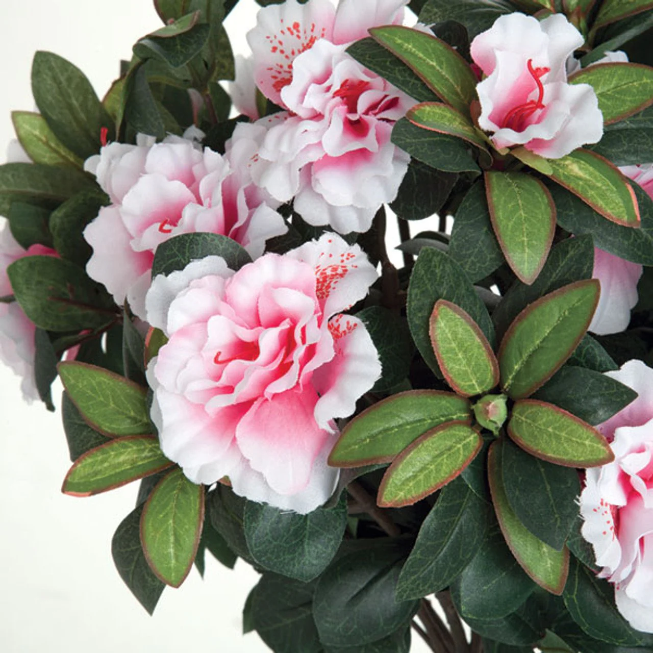 15" Silk Azalea Flower Bush -Pink/White (Pack of 6) - Image 2