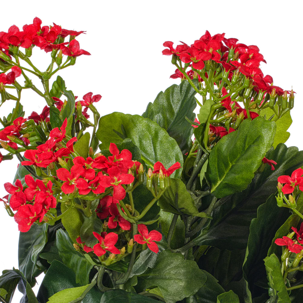 15" Silk Kalanchoe Flower Bush -Red (Pack of 4) - Image 2