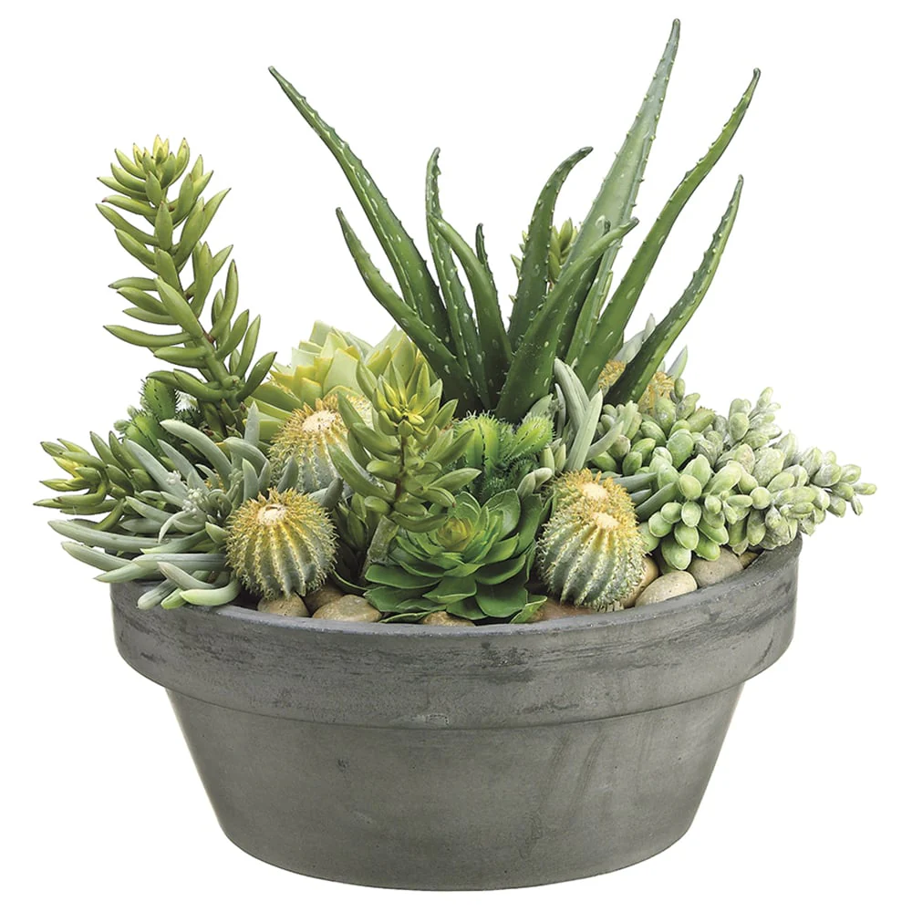 15"Hx15"W Succulent Artificial Plant w/Fiber Cement Pot -Green