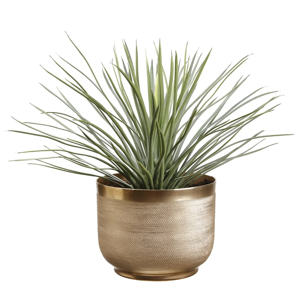 15"Hx16"W Artificial Whipple Yucca Plant w/Textured Planter -Green/Gray