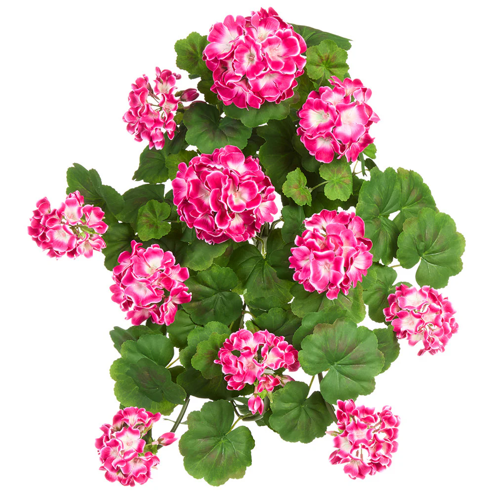 16.5" Outdoor Water-Resistant Artificial Hanging Geranium Flower Bush -Fuchsia (Pack of 6)