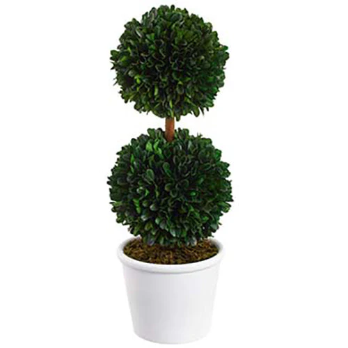 16.5" Preserved Boxwood Double Ball-Shaped Topiary w/Pot -Green