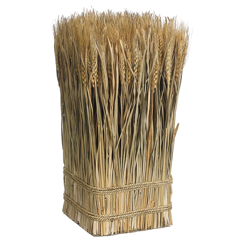 16.9"Hx10"W Preserved Standing Wheat & Grass Bundle -Natural (Pack of 6)