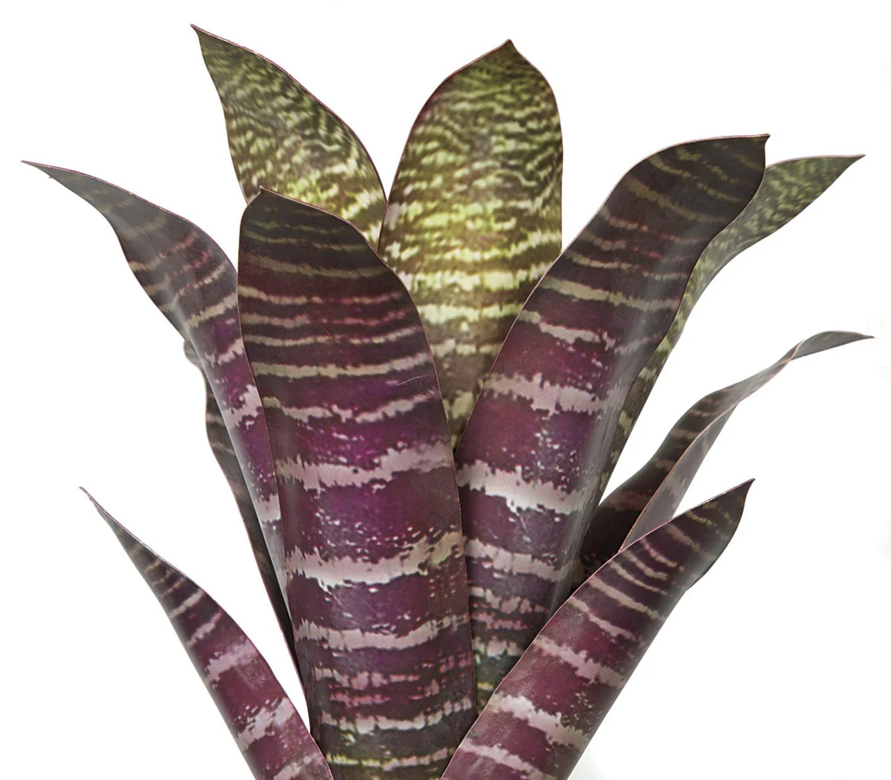 16" Artificial Bromeliad Plant -Burgundy/Green (Pack of 4) - Image 2