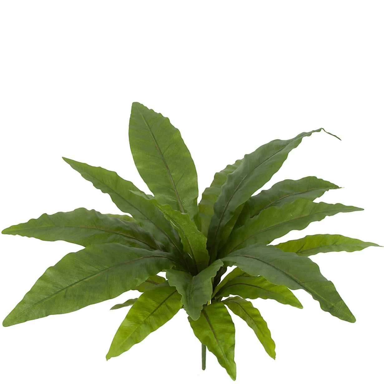 16" Bird's Nest Fern Silk Plant -Green (Pack of 6)
