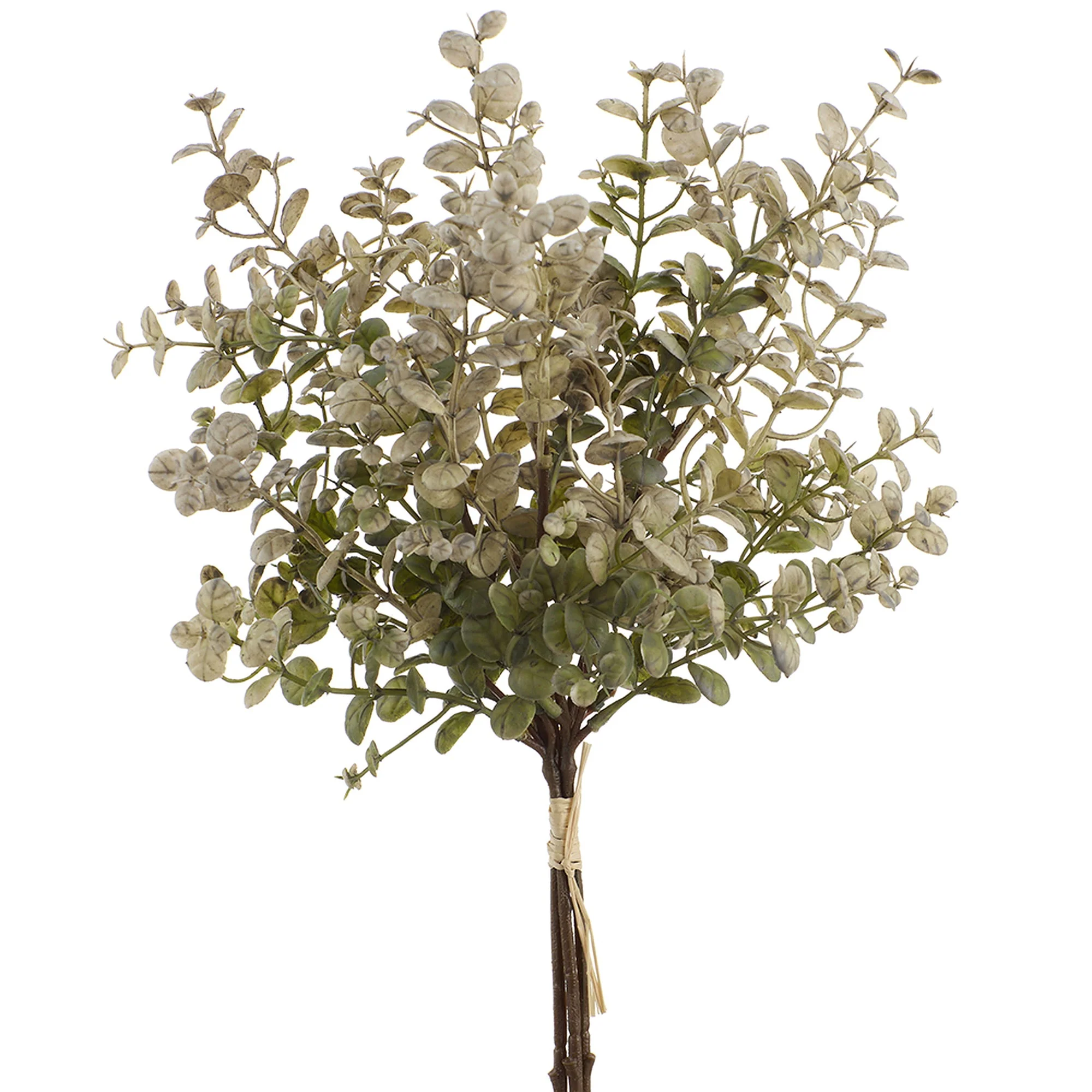 16" Boxwood Leaf Artificial Stem Bundle -Gray/Green (Pack of 12)