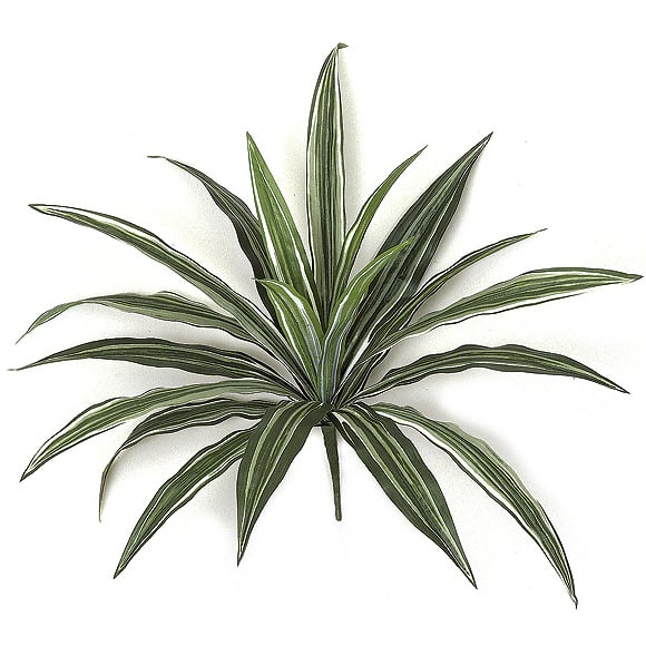 16" IFR Dracaena Artificial Plant -Green/White (Pack of 12)