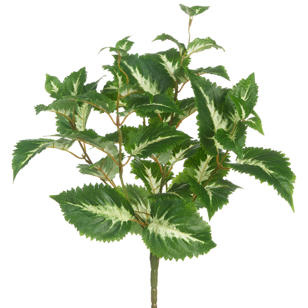 16" Outdoor UV-Resistant Artificial Coleus Plant -Green/Cream (Pack of 12)