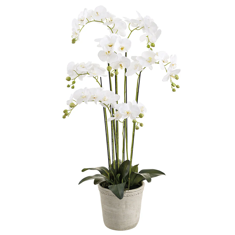 16" Phalaenopsis Orchid Silk Flower Arrangement w/Cement Planter -White
