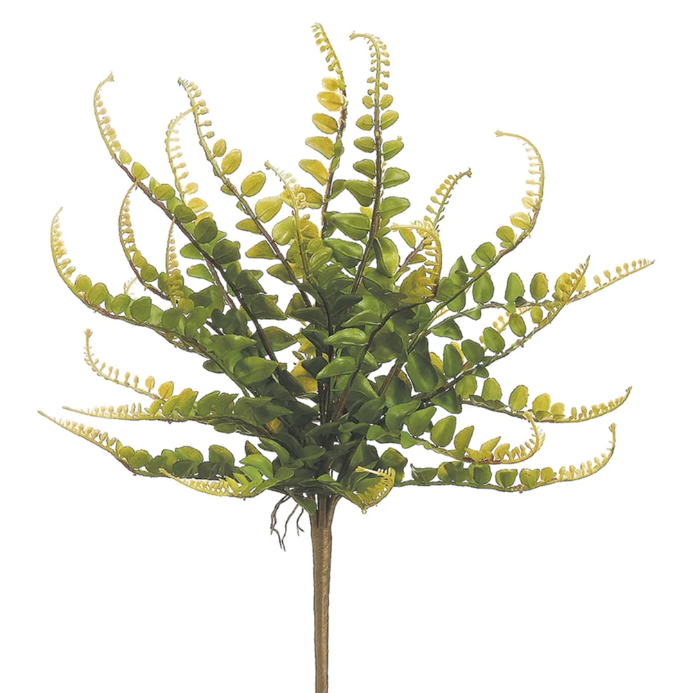 16" Plastic Button Fern Artificial Plant -Green (Pack of 12)