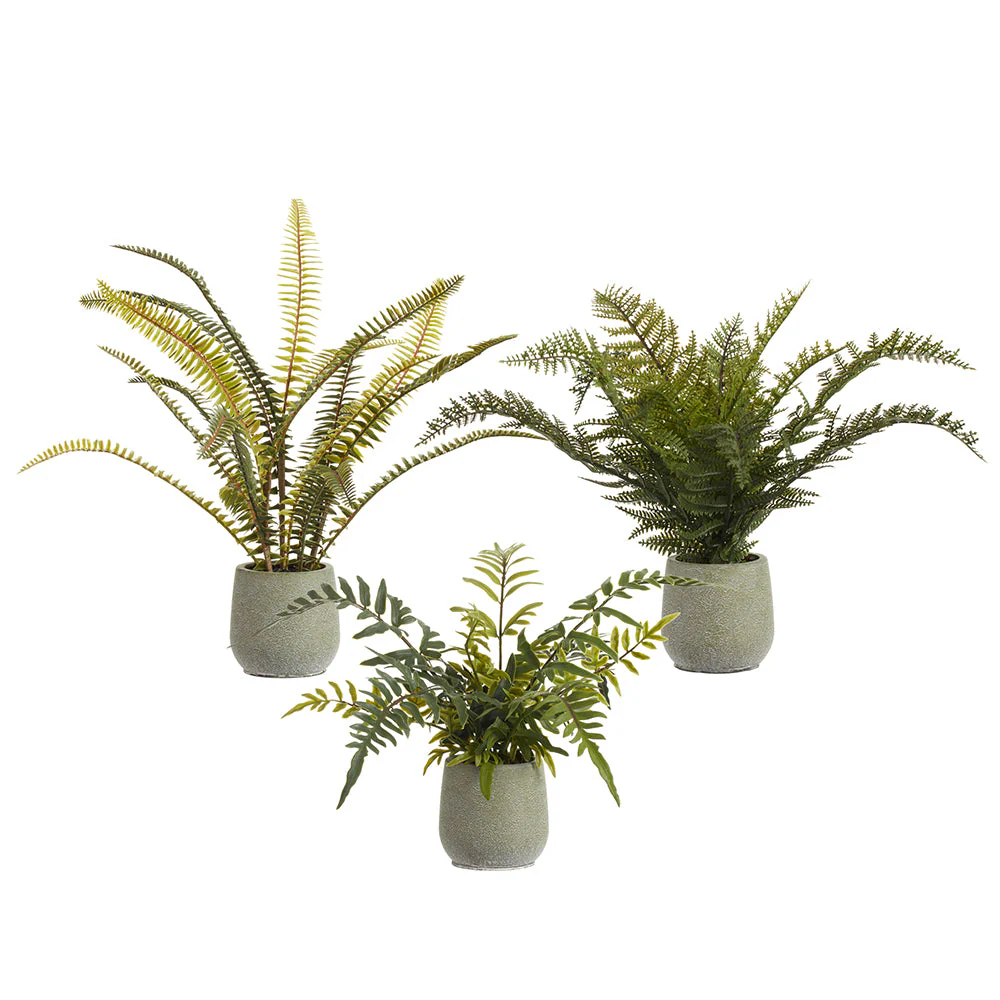 16" Set Of Artificial Fern Plants w/Plastic Pots -Green (Pack of 2)