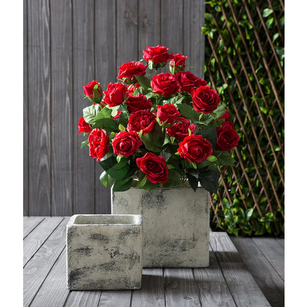 16" Silk Cabbage Rose Flower Bush -Red (Pack of 12) - Image 2