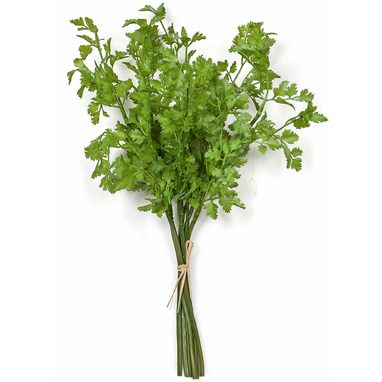 16" Soft-Touch Artificial Cilantro Herb Stem Bundle -Green (Pack of 12)